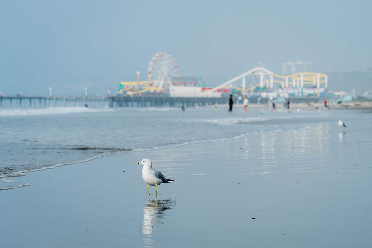 Los Angeles Sehenswürdigkeiten