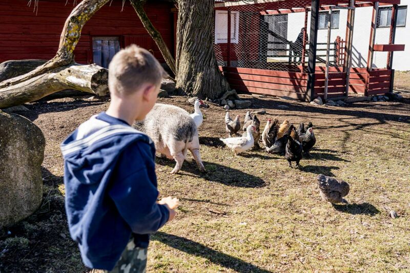 Familienurlaub Südschweden Bauernhof