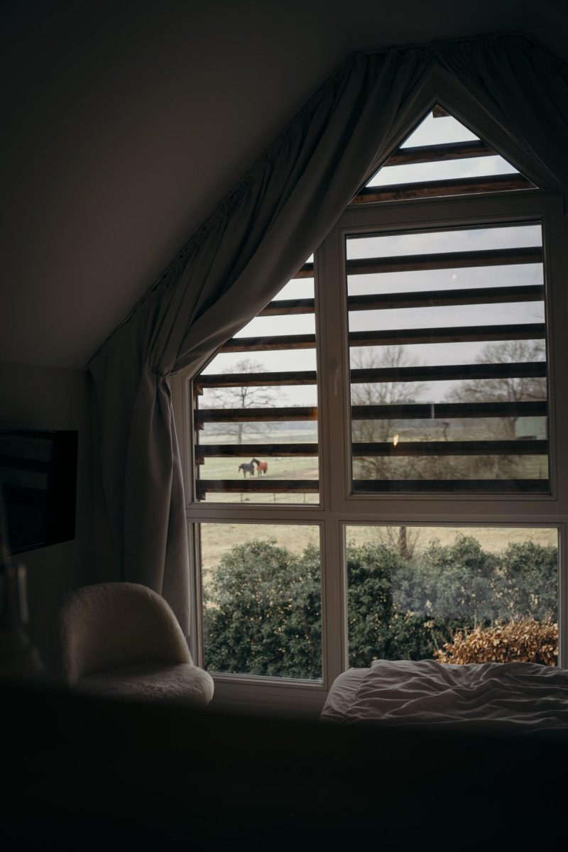 Blick auf die Weide Landhaus Averbeck