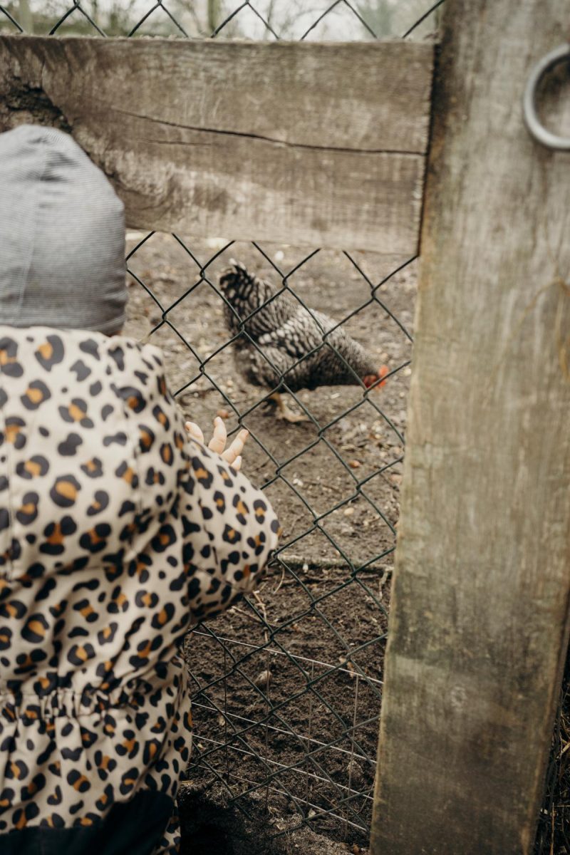 huhn landhaus averbeck erfahrung