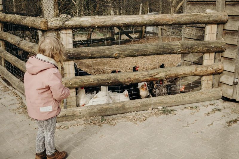 Familienurlaub Niedersachsen Bio-Hotel