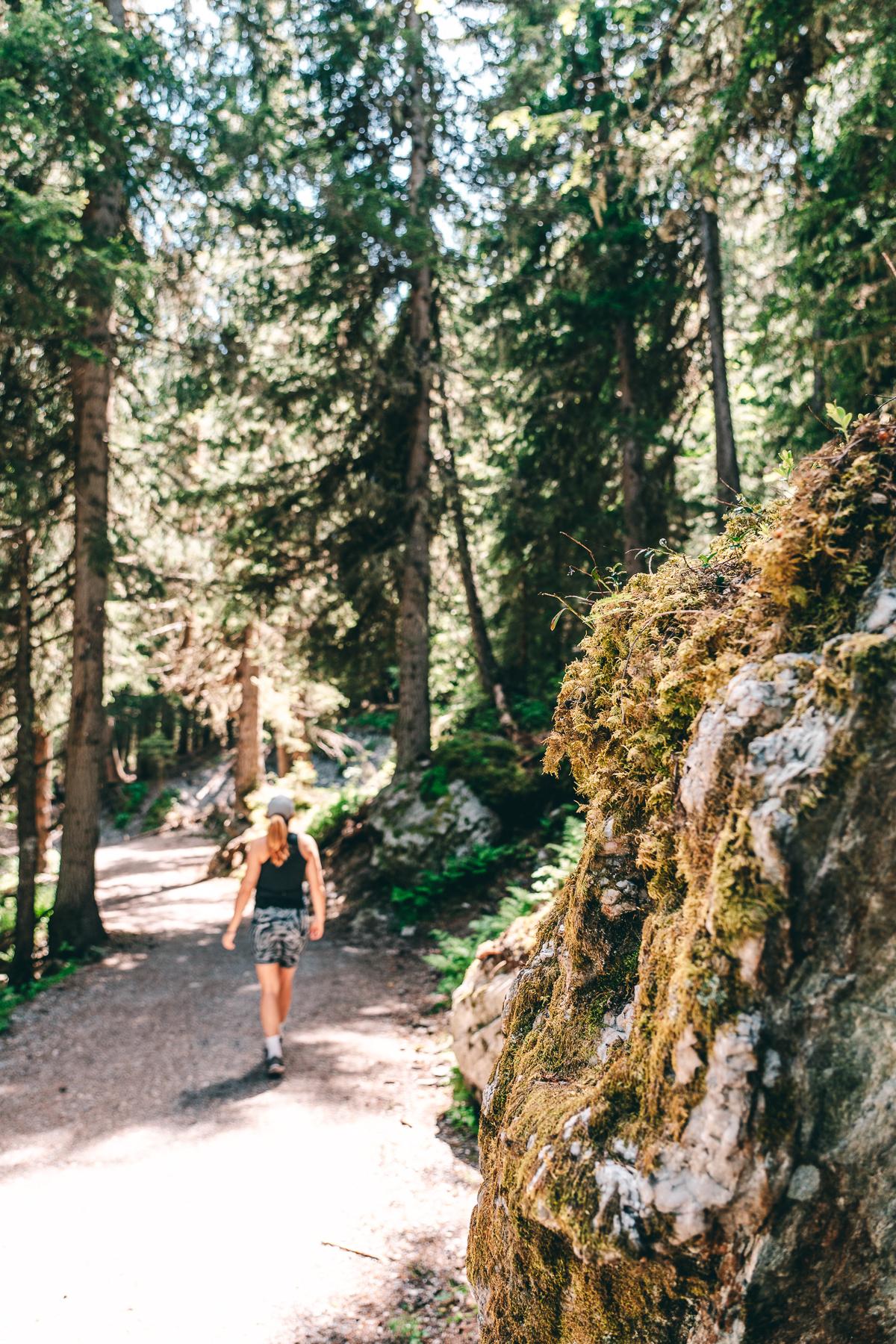 Durch den Wald auf Kulinarik Wanderung in Serfaus-Fiss-Ladis