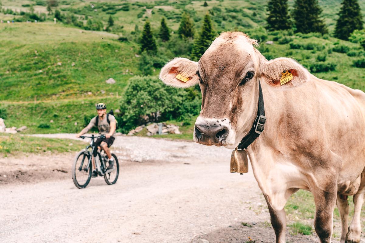 Serfaus-Fiss-Ladis im Sommer Tipps