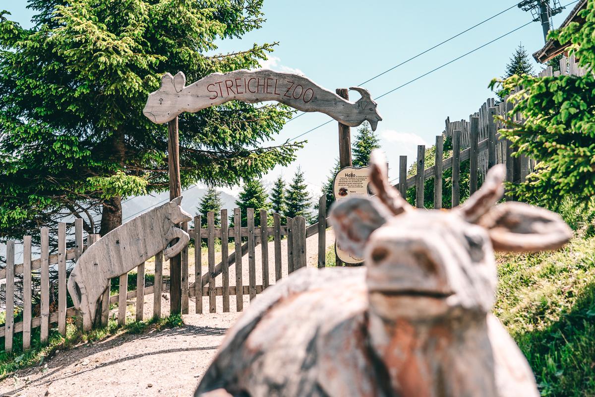 Streichelzoo im Sommer-Funpark Fiss
