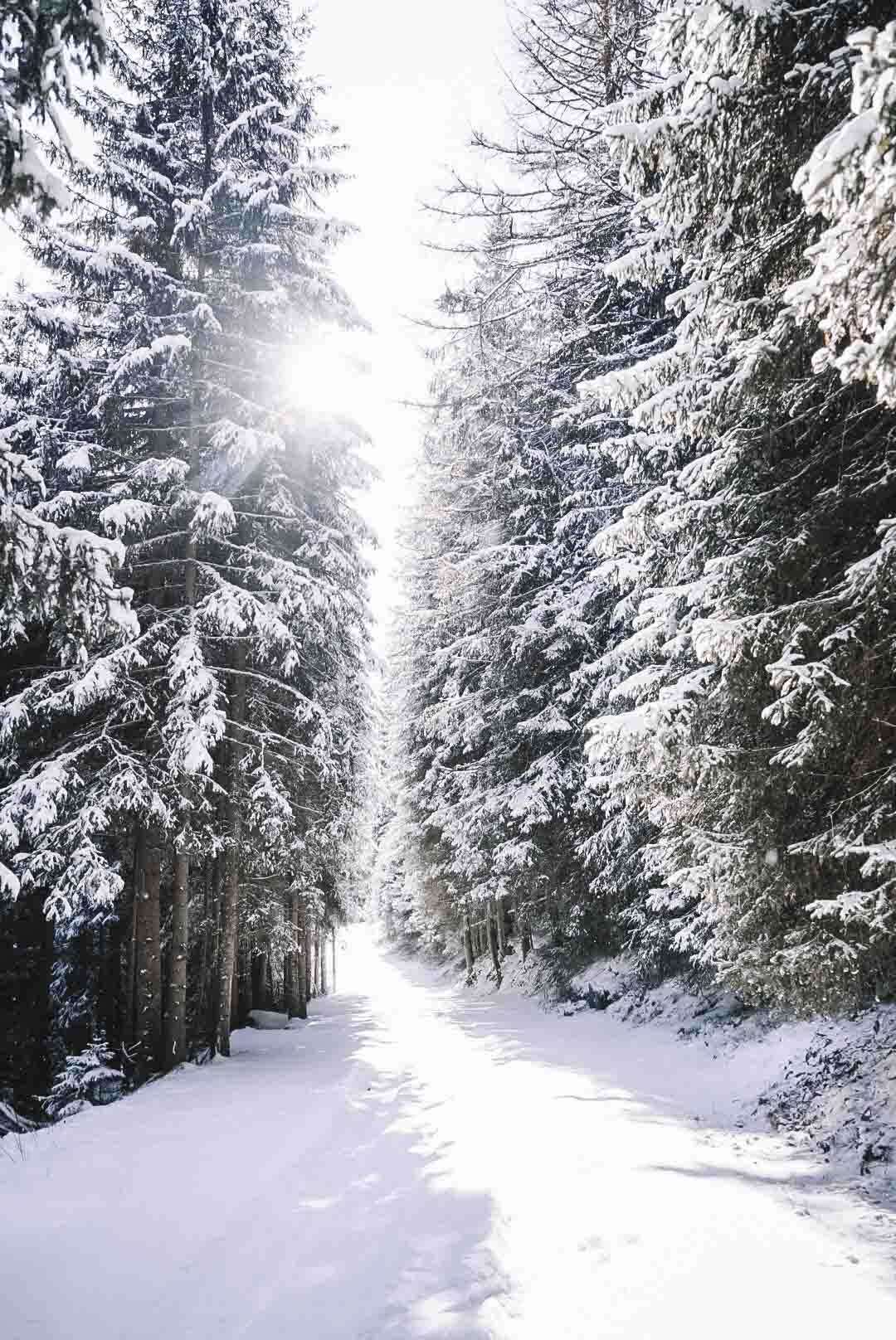 Winterwanderung