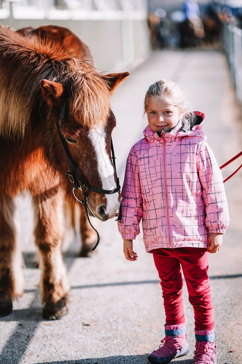 Reiten in Island