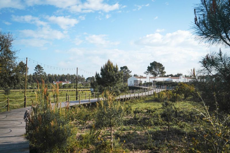 Alentejo Craveiral Farmhouse_