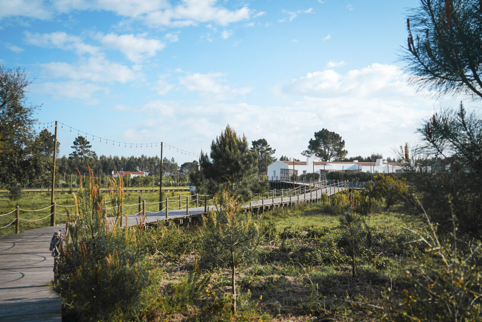 Alentejo Craveiral Farmhouse_