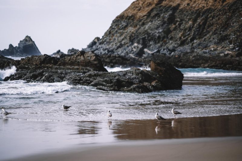 Alentejo Praia dos Alteirinhos