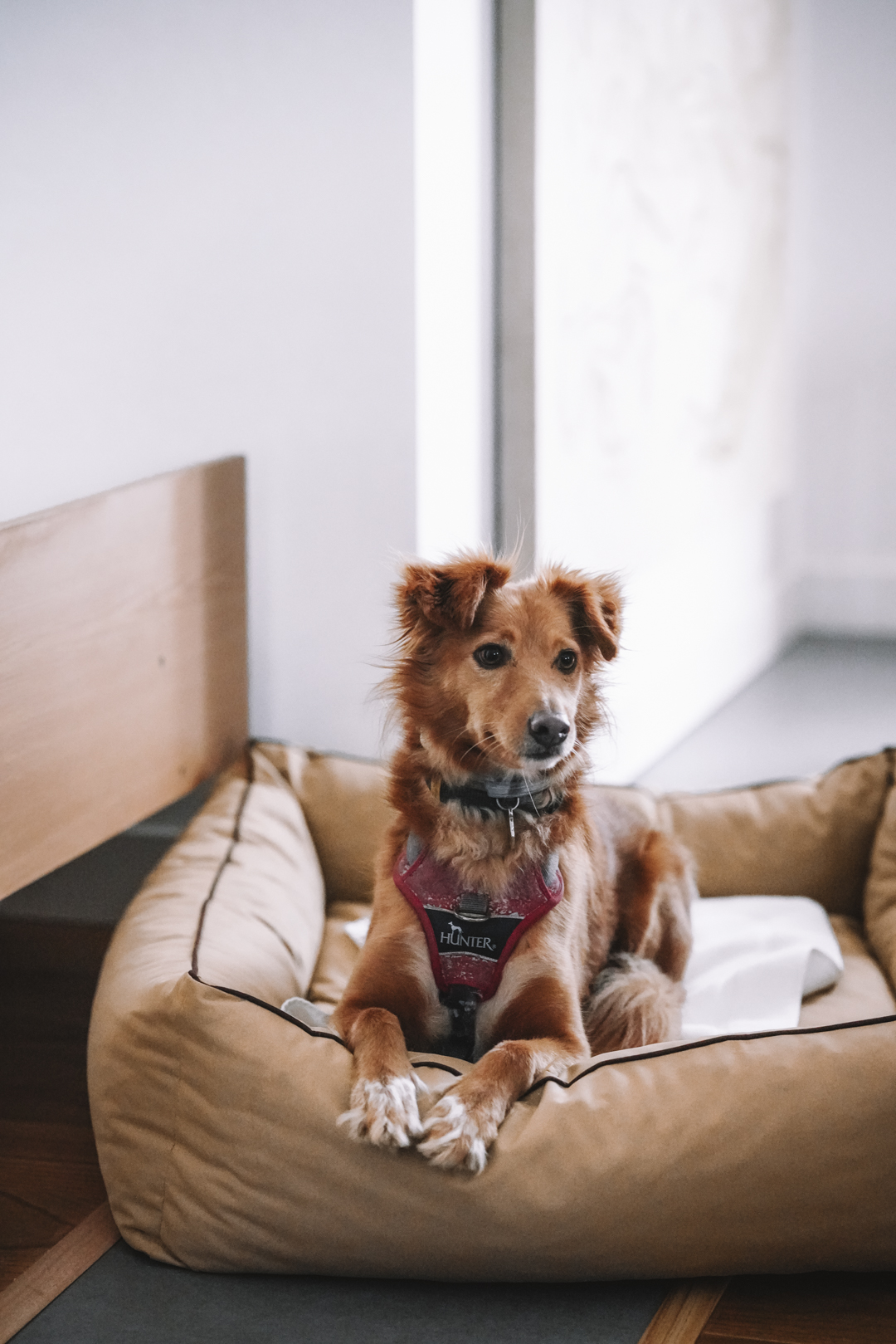 Craveiral Farmhouse hundefreundlich