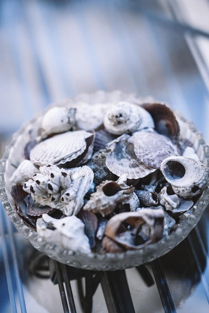 Muscheln