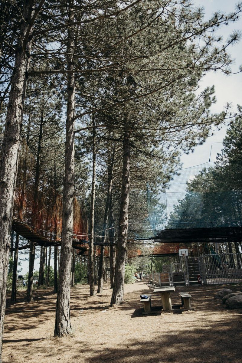 Networld Feddet Strand Resort