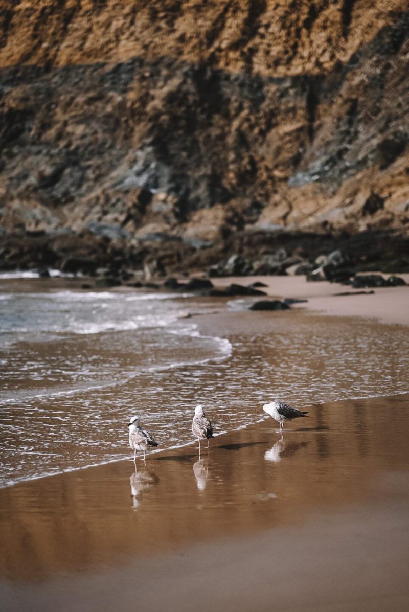Portugal Praia dos Alteirinhos