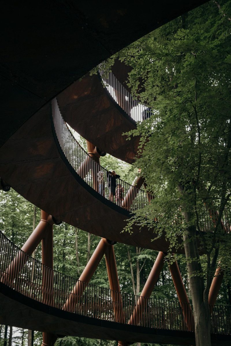 Skovtarne Camp Adventure