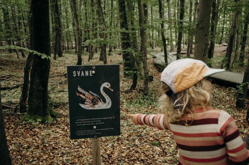 Tierkarte Schatzsuche Skovtarne