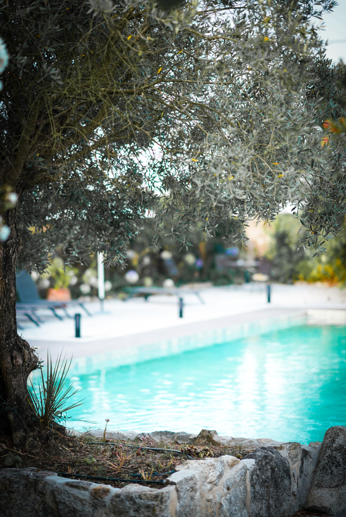 Quinta da Victória Pool