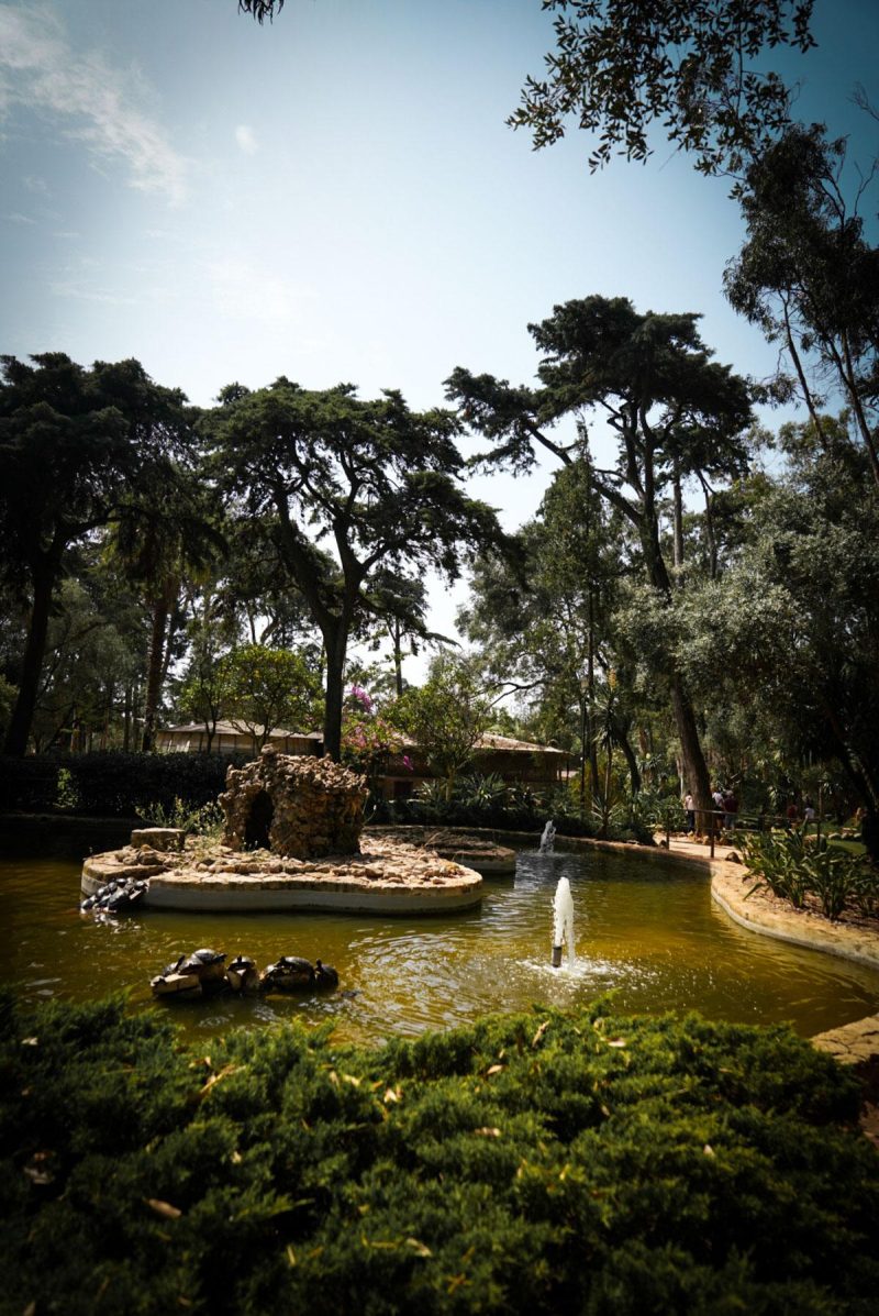 Cascais Parque Marechal Carmona