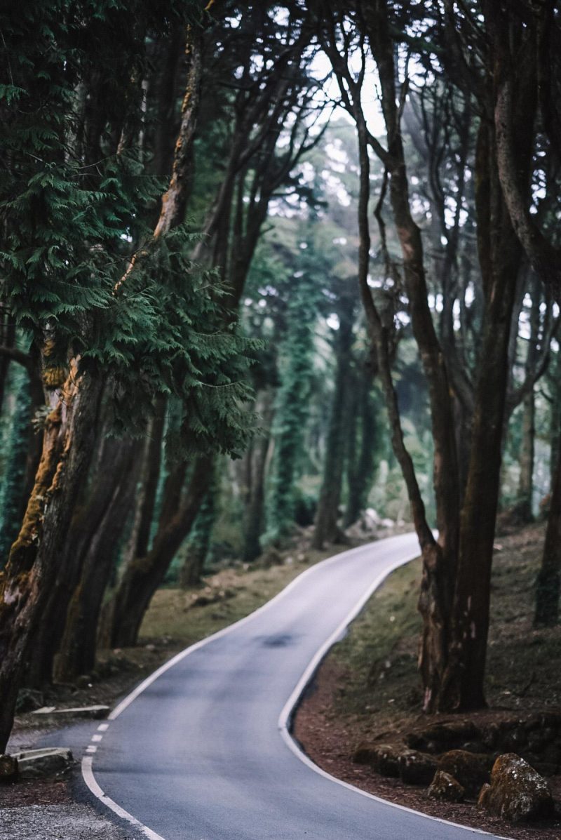 Peninha-Trail Anfahrt