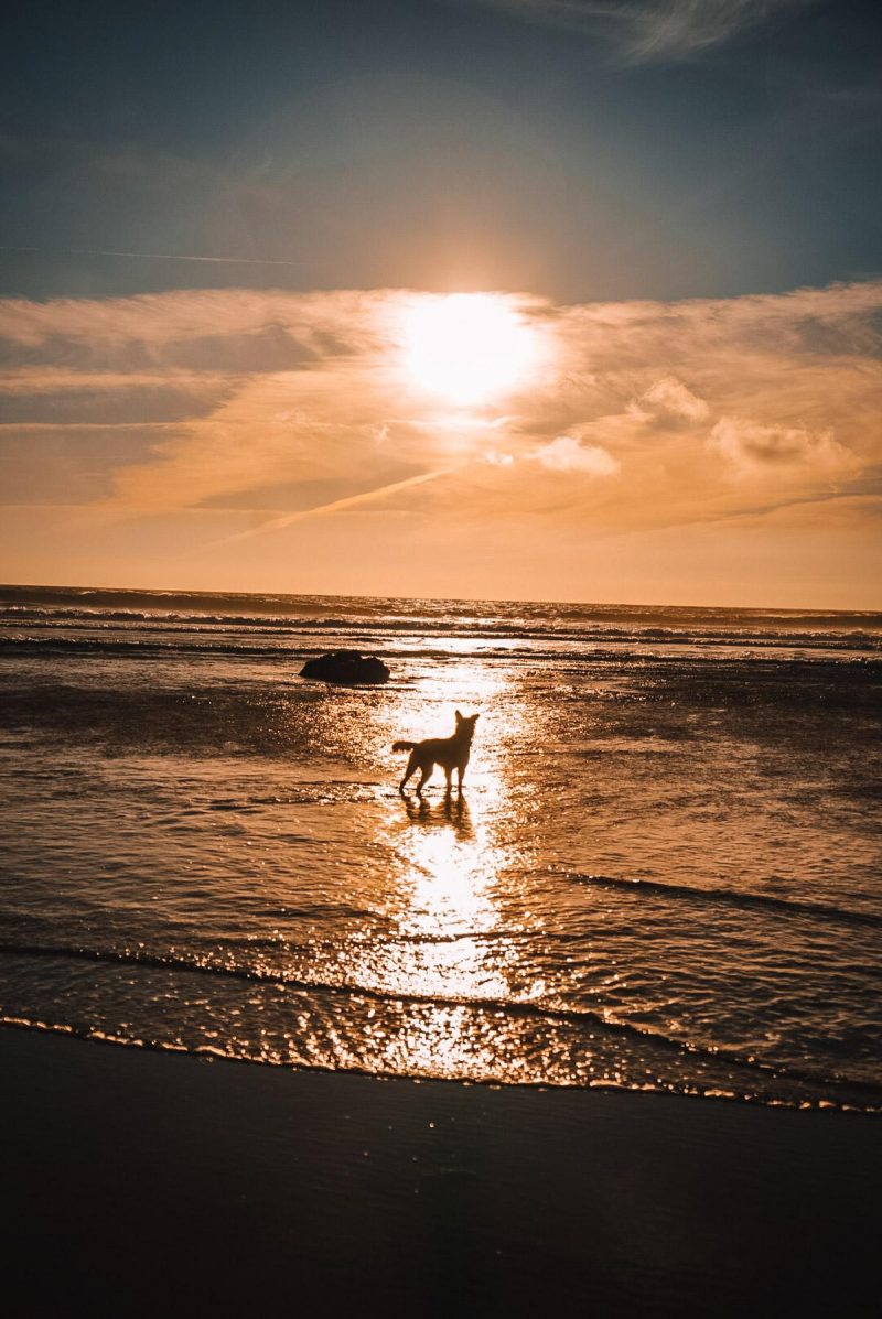 Praia do Guincho Sonnenuntergang